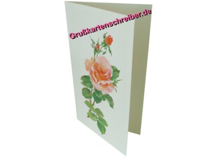 Botschaftskarte m. Rose, Handgeschriebene Post GK0068 GK 0068 (1)