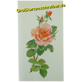 Botschaftskarte m. Rose, Handgeschriebene Post GK0068 GK 0068 (2)