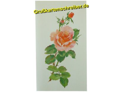 Botschaftskarte m. Rose, Handgeschriebene Post GK0068 GK 0068 (2)