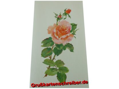 Botschaftskarte m. Rose, Handgeschriebene Post GK0068 GK 0068 (3)