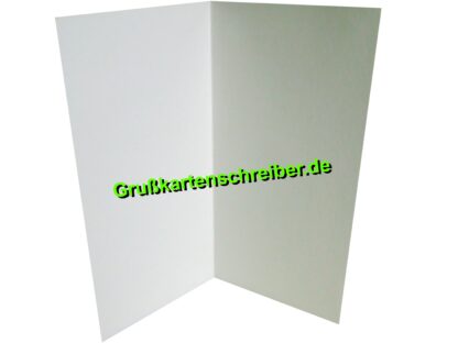 Botschaftskarte m. Rose, Handgeschriebene Post GK0068 GK 0068 (5)