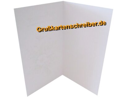 HERZLICHE GLÜCKWÜNSCHE Handgeschriebene Post GK0105 GK 0105 (6)