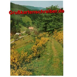 Landschaftsmotiv Ein frohes Pfingsfest Postkarte handgeschrieben Grußkartenschreiber.de GK0142 GK 0142 (2)