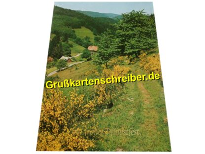 Landschaftsmotiv Ein frohes Pfingsfest Postkarte handgeschrieben Grußkartenschreiber.de GK0142 GK 0142 (3)